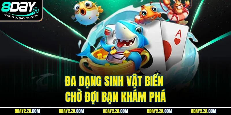 Đa dạng sinh vật biển chờ đợi bạn khám phá